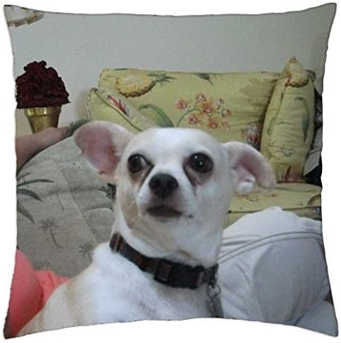 SteelSet Penni Page - Throw Pillow Cover Case (18