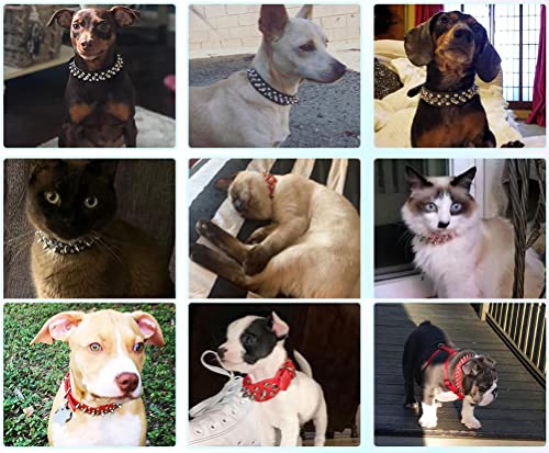 Spiked Dog Collar Soft Pu Leather Mushrooms Rivet Spike Studded Puppy Adjustable Cat Collars Black M #TOP2