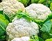 Snowball Y Improved Cauliflower Seeds (Organic) 180 Seeds Upc 647923989205
