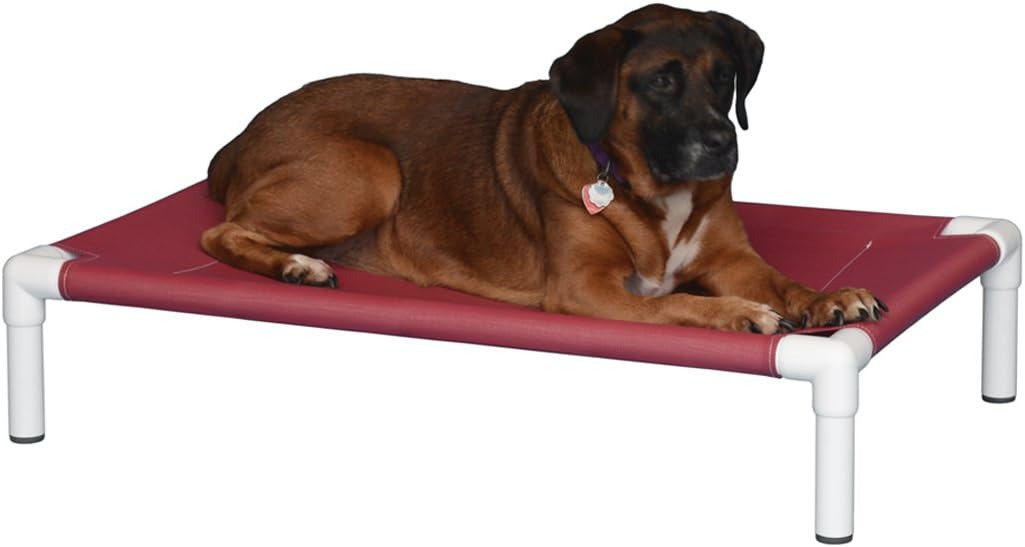 IPU Indestructible Raised Pet Cot/Bed Made from PVC (Medium, Teal)