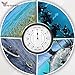 YOTOSIRE Tide Clock 10 inch - Silent Quartz Movement, Accurate High/Low Tide Prediction, Wall/Deck Mountable, for Sailors, Surfers & Ocean Lovers