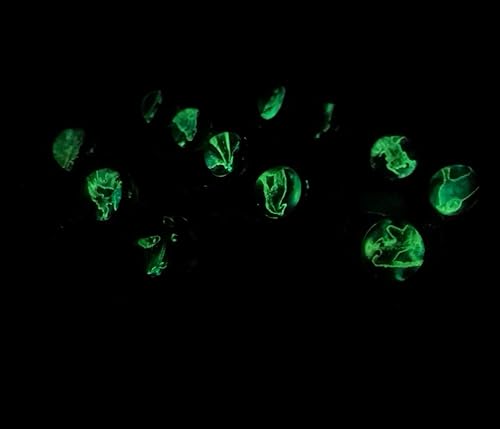 Miniatura 6 de JWPavilion Colgante de bola de cristal luminoso con dije de 12 constelaciones del zodiaco