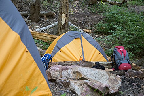 TETON Sports Mountain Ultra 4 Tent