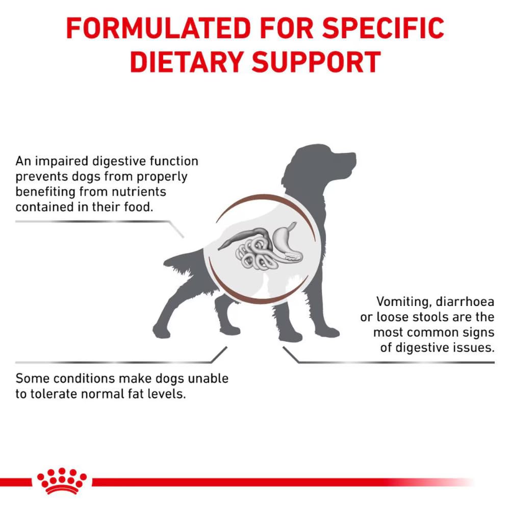 Royal Canin Veterinary Gastrointestinal Low Fat Mousse | 12 x 420 g | Diät-Alleinfuttermittel für ausgewachsene Hunde | Zur Unterstützung der Verdauung und bei Übergewicht