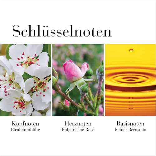 Elizabeth Arden Elizabeth arden white tea wild rose - eau de toilette femmewomen 50 ml floraler damenduft mit holziger note ausgewählte inhaltsstoffe & edles design alltags-parfüm Elizabeth Arden Elizabeth arden white tea wild rose - eau de toilette femmewomen 50 ml floraler damenduft mit holziger note ausgewählte inhaltsstoffe & edles design alltags-parfüm