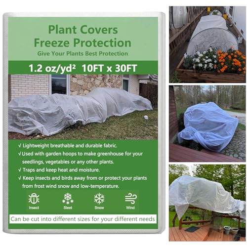 Find The Best Frost Blanket For Plants Reviews & Comparison Katynel