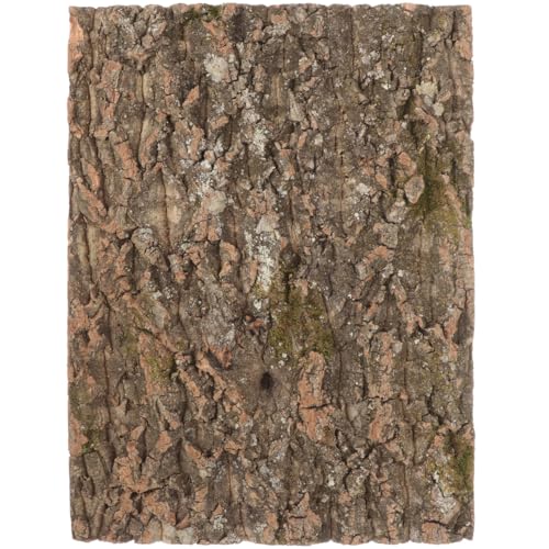 DOITOOL Corteccia di Sughero Naturale 15.75X11.81X0.79 Pollici Pannello Decorativo per Terrario Rettili Accessori Habitat Serbatoio Arrampicata Geco Lucertola