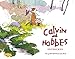 Produktbild Calvin und Hobbes entdecken: Das große Bill-Watterson-Buch