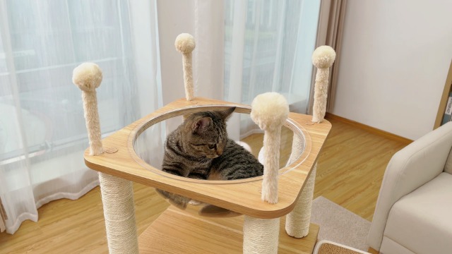 Amazon.co.jp: PETEPELA(ぺテぺラ) キャットタワー 木製 宇宙船 大型猫