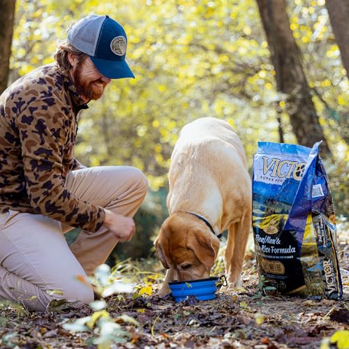 Image of VICTOR Super Premium Dog Food - Select Beef Meal & Brown Rice Formula for Immune and Gut Health - Gluten-Free Beef Meal Dry Dog Food for All Normally Active Dogs of All Life Stages, 5 lbs