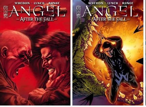 Angel After the Fall #11: unknown author: Amazon.com: Books