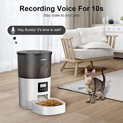 NPET Automatic Cat Feeder ClogFree 135oz/4L Cat Food Dispenser TwistLock Lid Timed Feeder for