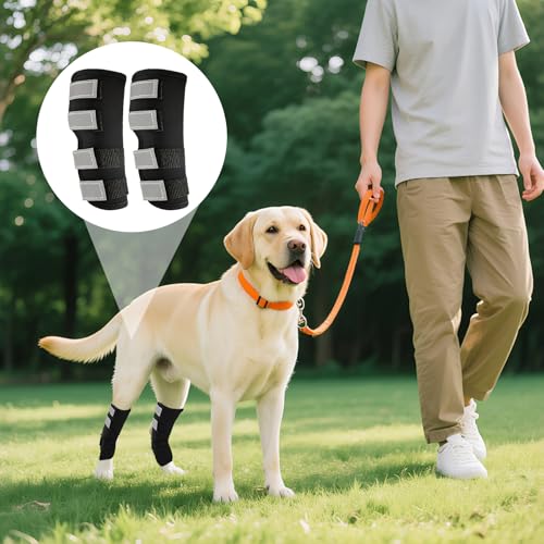 CUVZORA Hinterbeinbandage für Hunde 2 Einheiten mit Reflektierenden Riemen, Hundebandagen zur Wundheilung bei Verletzungen und Verstauchungen, für Leckschutz Hund Hinterbein Gelenktabletten,M
