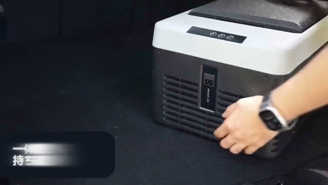 Amazon.co.jp: LVYUAN(リョクエン) 車載冷蔵庫 9L ポータブル 小型 -20