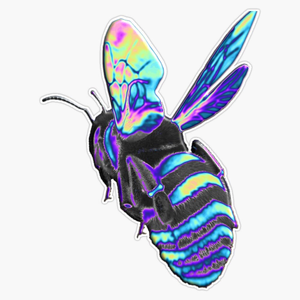 Holographic Blue Bee Sticker Vinyl Waterproof Sticker Decal Car Laptop Wall Window Bumper Sticker 5"