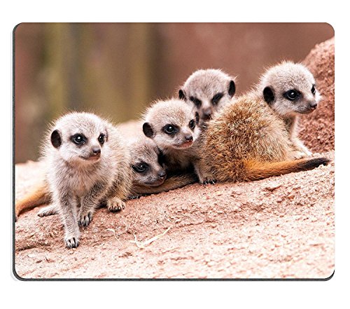 WYRUJYU Alfombrilla de ratón de Suricata 0616 1323 Caucho Natural Material