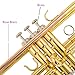 Aurosus bb trumpet 6331 brass b flat trumpet for beginners and intermediate players copper leadpipe gold lacquer finish stainless steel valves phosphorus hard case and accessories included