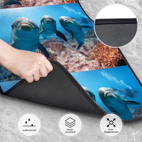 Alfombrillas de coche delfín antideslizantes para proteger el suelo nuevo 4