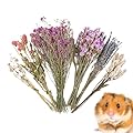 Hamster Flower Sprays, Hamster Hay Flower Bedding, Hamsters Dried Bedding, Small Animal Flowers Habitat Decor, House Cage Decor Natural Hamsters For Lemming Guinea Pets