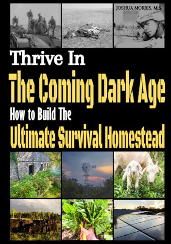 Thrive in the Coming Dark Age: How to Build the... B0CHCWSJ4N Book Cover