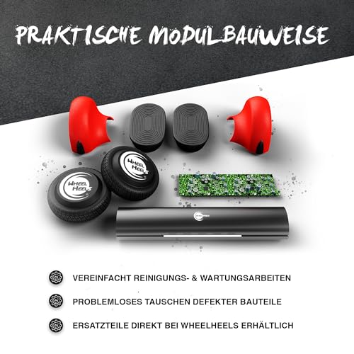 Self Balancing Scooter Wheelheels Alpha Mini Hoverboard
