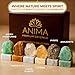 Anima Premium Abundance Healing Crystals Set for Success & Good Luck - Large Raw Citrine, Pyrite, Tigers Eye, Green Aventurine, Amazonite & Clear Quartz - Wooden Gift Box and Guide Booklet Included