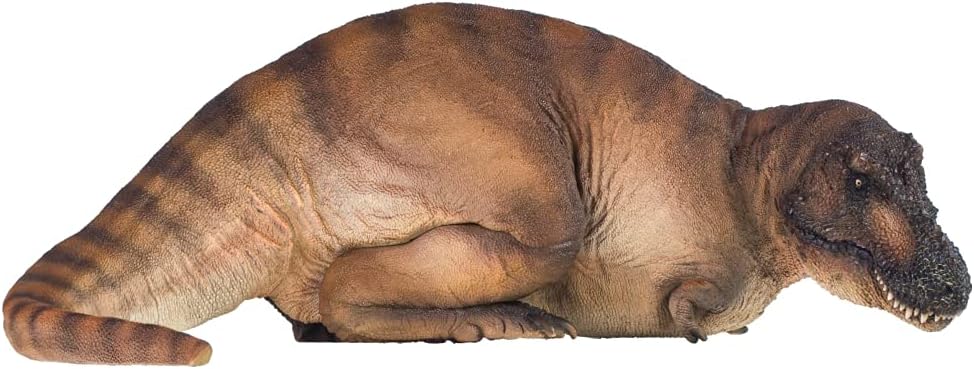 Dinosaur Museums Series (Andrea The Tyrannosaurus REX 1:35 Scientific Art Model)