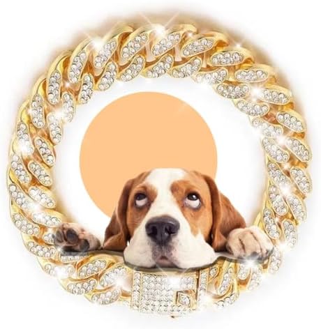 Silver Dog Collar Cuban Link Crystal Dog Chain Design Secure Buckle Jewelry Accessories for XXS XS Small Medium Large Pet Male Dogs Boy Kitten (12inch) image 5