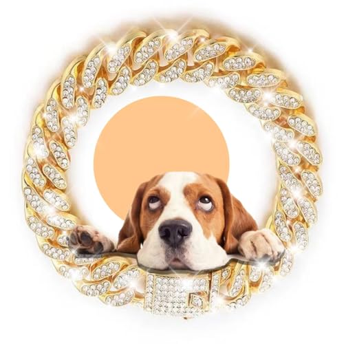 Gold Crystal Cuban Link Dog Collar with Design Secure Buckle Metal Chain Collar Pet Necklace for Small Medium Large Dogs CatsGold 8inch