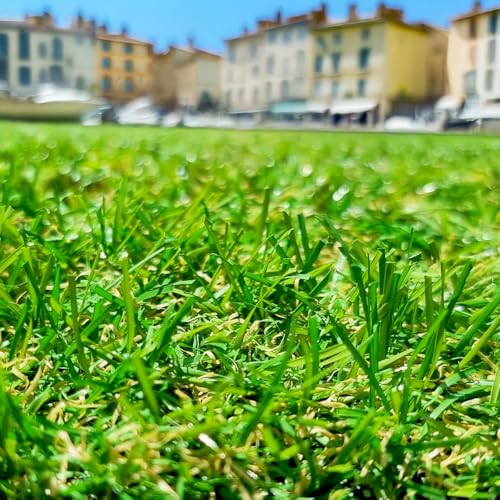 Gazon Synthétique 22mm en 2m de large (2m de large x 5m de long)