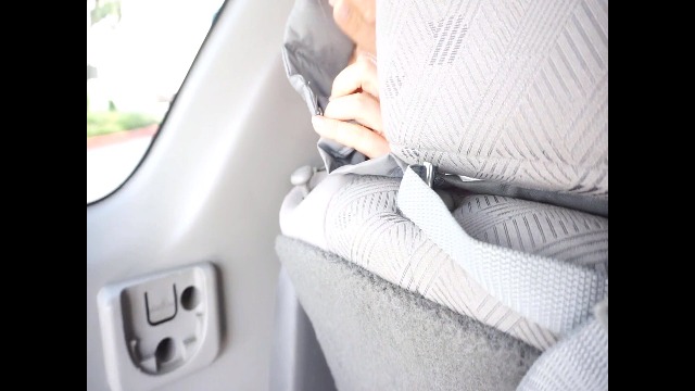 Deluxe Quilted and Padded Dog Car Back Seat Cover with Non-Slip Back Best for Car Truck and SUV - Travel with Your Pet… - Image 7