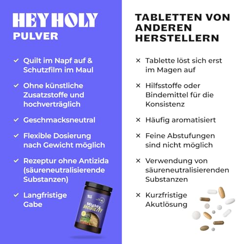 Premium Gelenkpulver für Hunde Mighty Mobility | Grünlippmuschel Hund | Gelenk- & Knochenschutz für Hunde 200 g | Unterstützt bei akuten Gelenkschmerzen & Präventiv | Alternative zu Gelenktabletten
