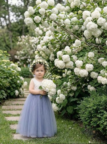 Image of 2Bunnies Girl Peony Lace Back A-Line Straight Tutu Tulle Party Flower Girl Dress