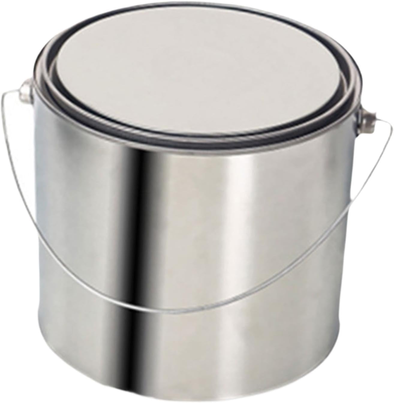 Empty Paint Can Multipurpose Paint Storage Container for Adhesives DIY Craft 5 L | Home & Garden | Home Improvement | Building & Hardware | Painting Supplies & Sprayers