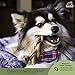 Redbarn Pet Products All-Natural 7