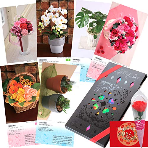 母の日 カーネーション ギフトの人気商品 通販 価格比較 価格 Com