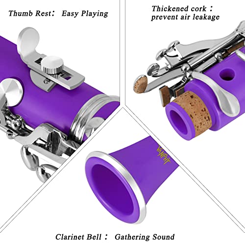 Image of Bb Clarinet 17 Keys Flat B Clarinet for Beginners & Students Purple