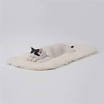 眠りネコ 🍵新商品のお知らせ🧶 寝姿がまるで棒のような猫 ぼうみたいな