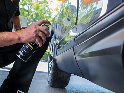 Meguiar's Ultimate Black Plastic Restorer – 10 Oz Spray Can #TOP2