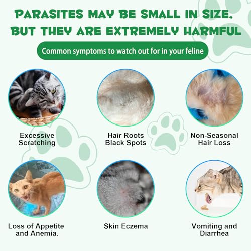 Wurmkur für Katzen 60ml,Verbesserung der Verdauung, Immunitätsschub Kräuterentwurmer mit Probitika, Katzenwurmer-Tropfen, Anti-Parasiten, Breitband-Hakenwürmer - Sicher, Effektiv