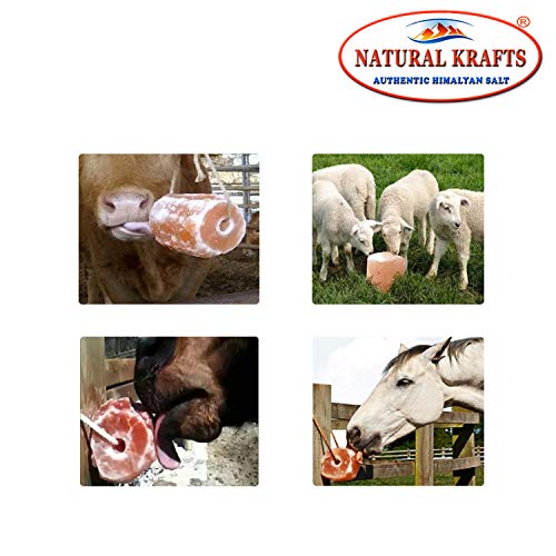 4 x HIMALAYAN SALT LICK, 8.5 kg (Pack of 1) - Image 2
