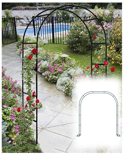 Treillis pour plantes grimpantes et arche de jardin extérieur en métal