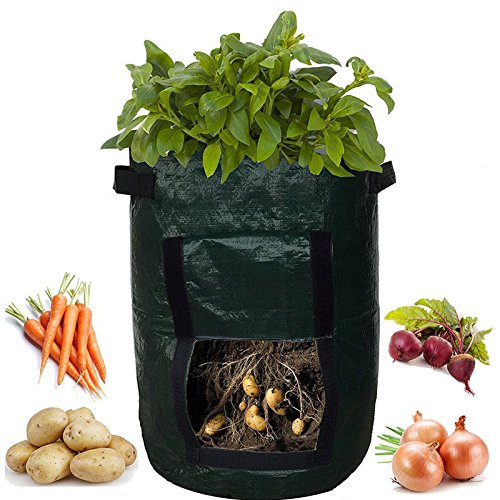 Kartoffel-Anzucht Tasche – 35,6 Cm X 45,7 Cm, Mit Ernteklappe, Wasserdicht & Wiederverwendbar
