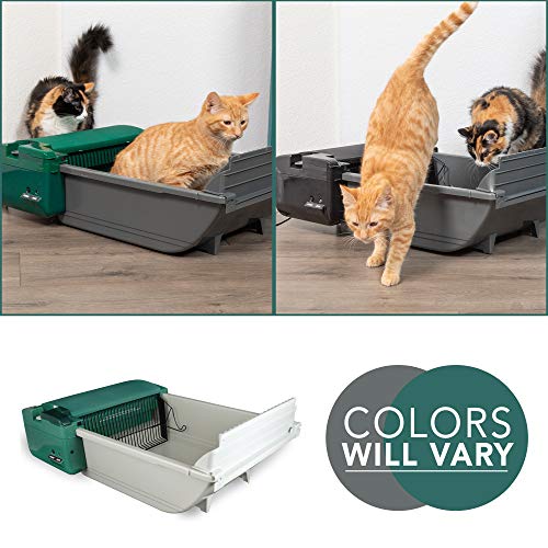 automatic litter box refills