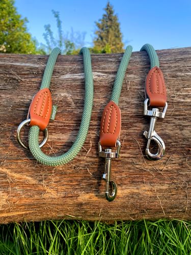 Leisegrün Verstellbare Hundeleine 2m | Freihand & 3fach verstellbar | Nur 260 g leicht | Für große Hunde - Salbeigrün