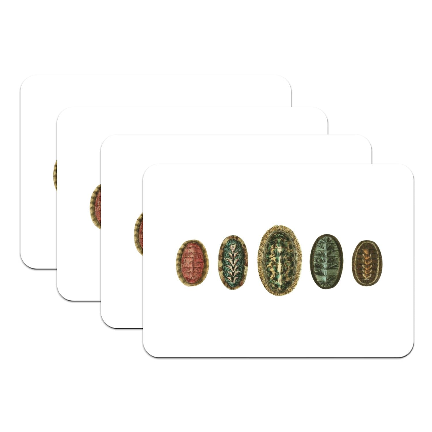Set de table lavable mollusques lot de 4 pour protéger efficacement votre table des taches
