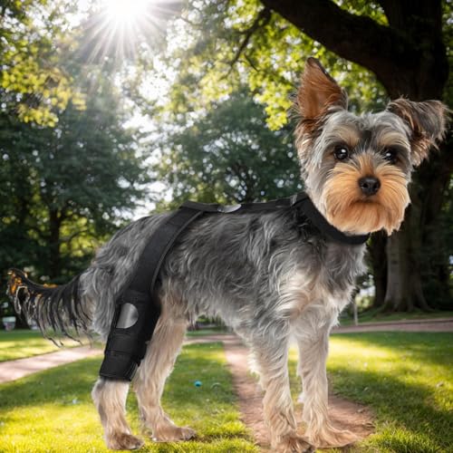 Kniebandage für Hunde bei Kreuzbandriss - Schmerzlinderung bei Arthrītis & Bänderriss | Hinterbeinstütze für Verletzungen, OP-Erholung & Gelenkstabilität | Einstellbare, rutschfeste Schutzmanschette