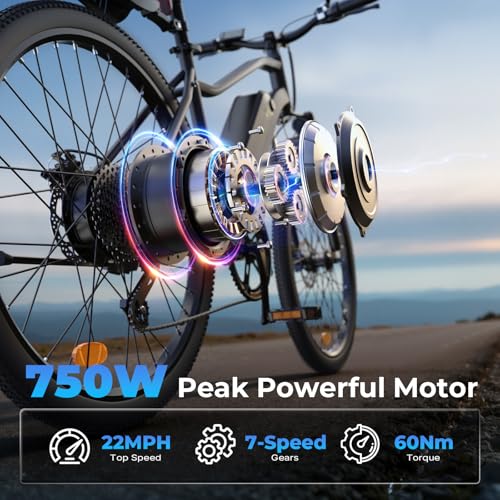 Electric Bike – 750W Peak Motor Electric Bicycle, 20MPH, 60
