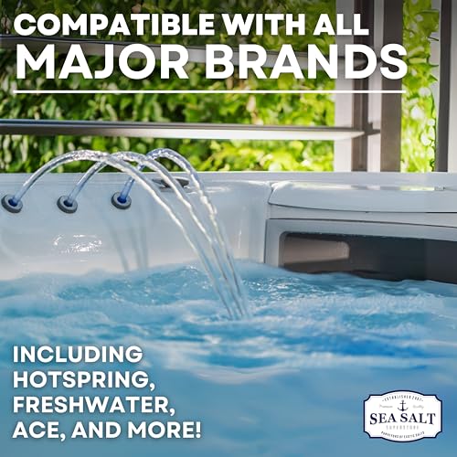 Jacuzzi hot tub spa system