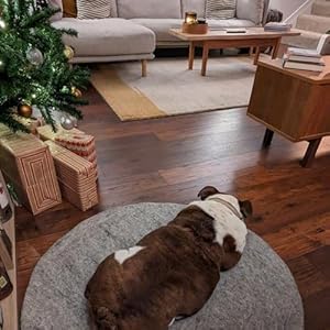 CREATURE-ECO-Handmade-Wool-Dog-Bed-Dog-Beds-for-Large-Dogs-Pet-Lounger-for-All-Breeds-Washable-Dog-Crate-Mate-with-Attractive-Design-Ultra-Soft-Wool-Material-Natural-Grey - Cucciolini Doodles   CREATURE-ECO-Handmade-Wool-Dog-Bed-Dog-Beds-for-Large-Dogs-Pet-Lounger-for-All-Breeds-Washable-Dog-Crate-Mate-with-Attractive-Design-Ultra-Soft-Wool-Material-Natural-Grey